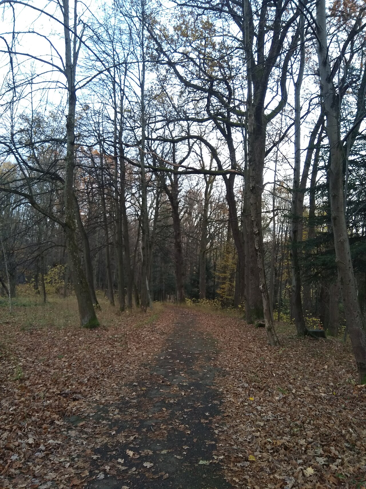 Трускавець. Парк 01