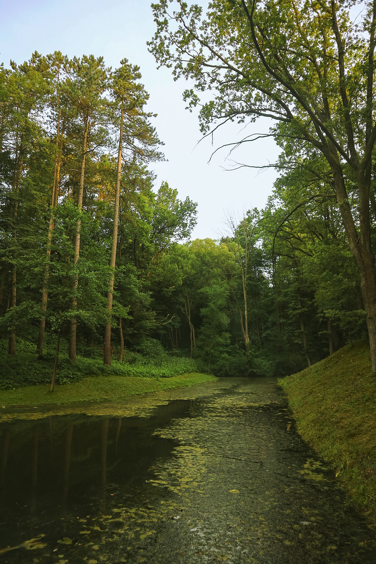 How to spend your time in Truskavets — walks, wellness, evenings and day trips